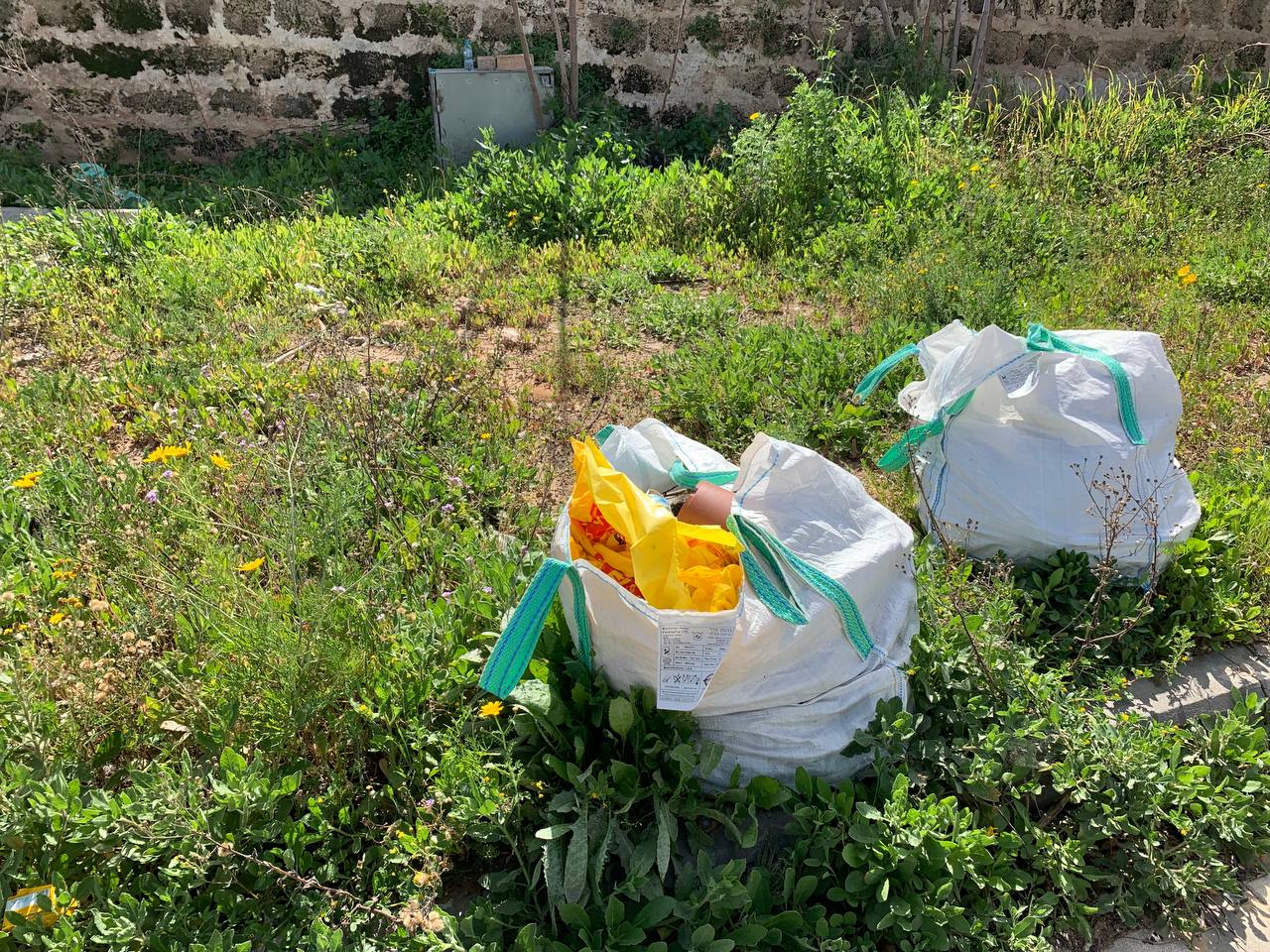 photo1678276195 (12).jpeg